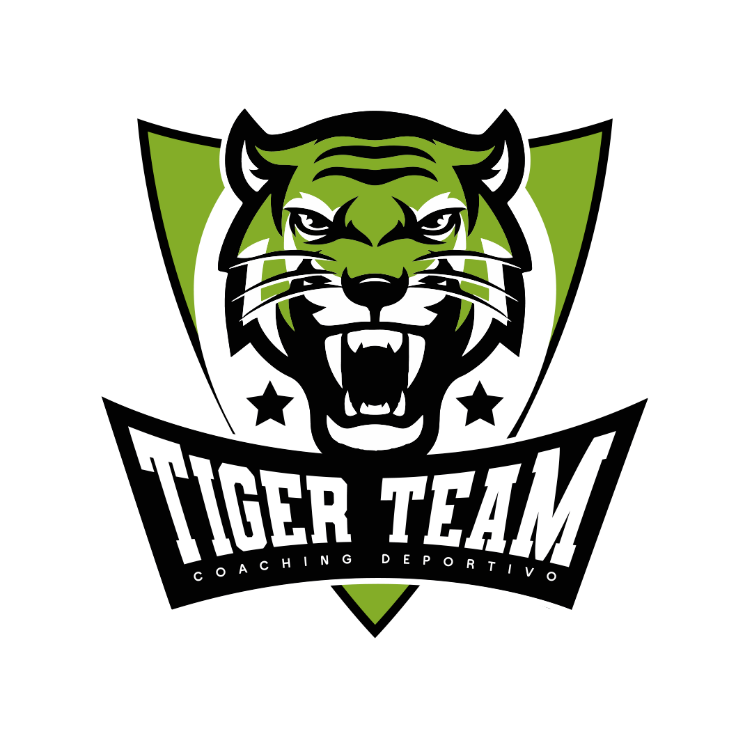 TIGER TEAM – tiger team